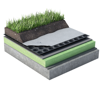Dachbegrünung